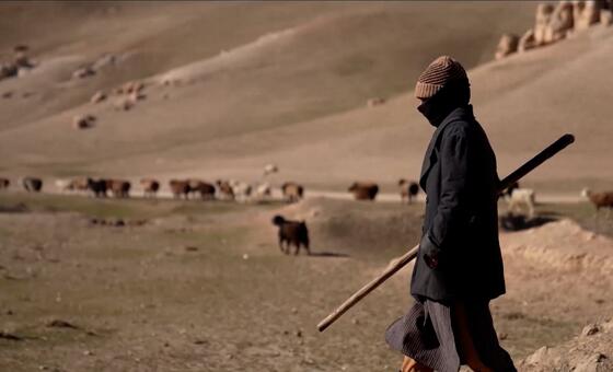 Афганистан переживает гуманитарный кризис.